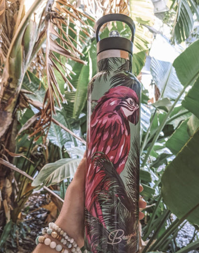 Macaw | 25oz. Insulated Water Bottle