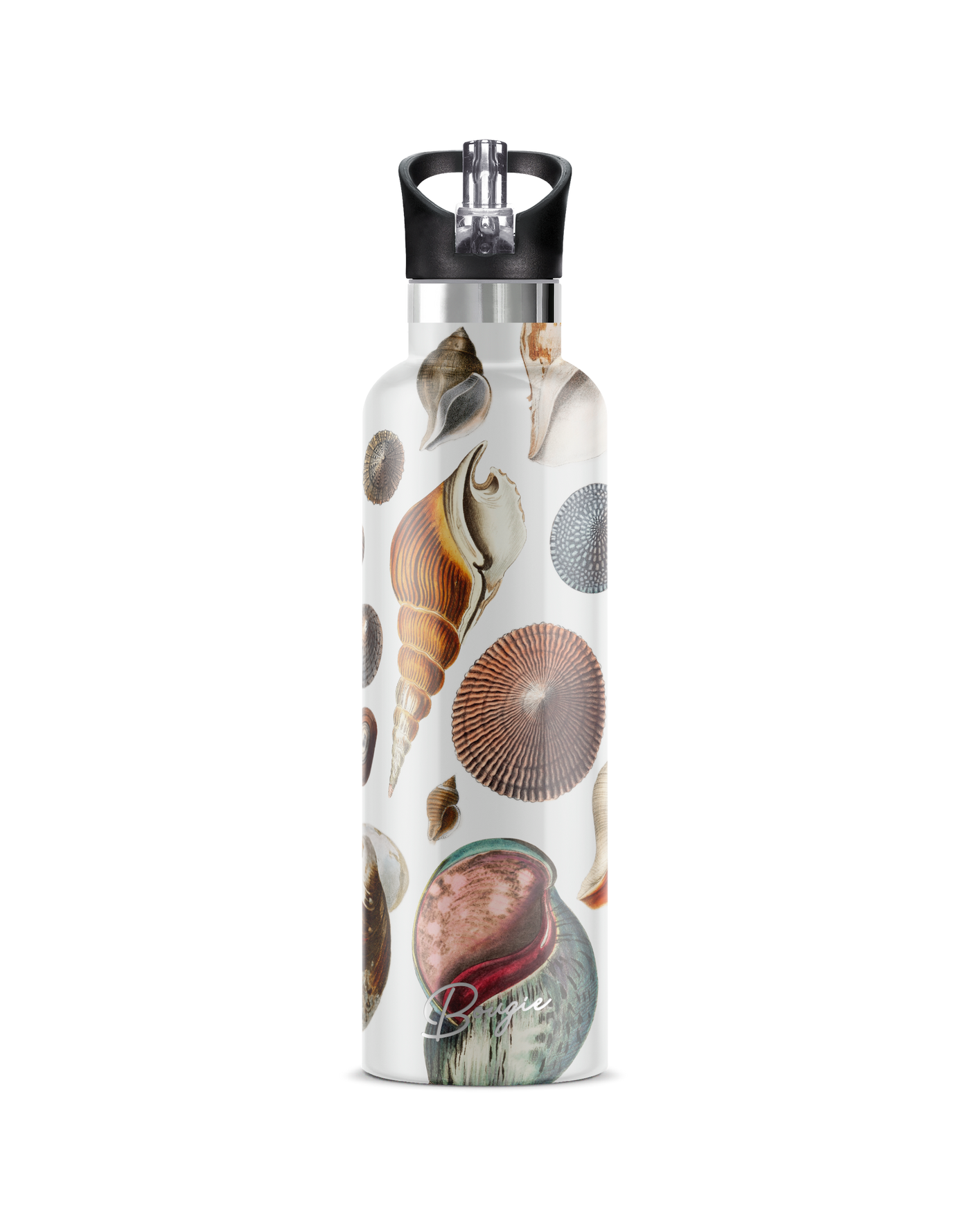 25 oz Insulated Flip'n'Sip Bottle | Conchas Maris Seashells