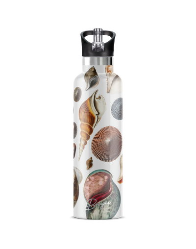 25 oz Insulated Flip'n'Sip Bottle | Conchas Maris Seashells