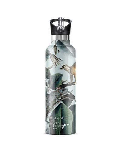 25 oz Insulated Flip'n'Sip Bottle | chameleon and lemur design