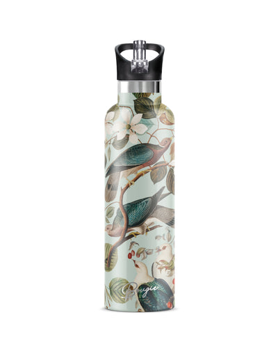 Glass Louis Vuitton water bottle 500ml, Nice flex and