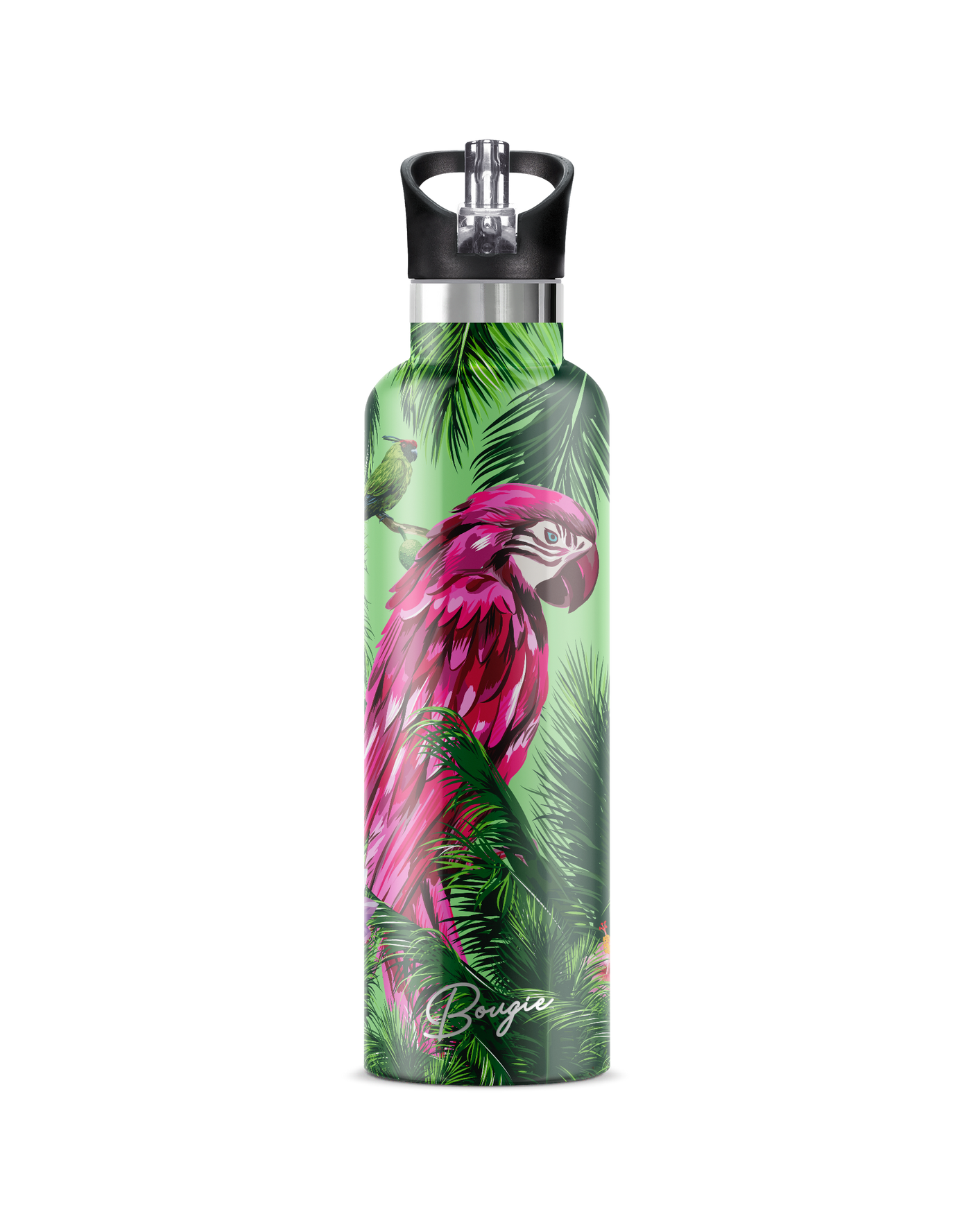 Macaw | 25oz. Insulated Water Bottle