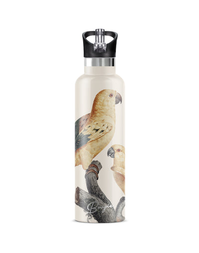 25oz. Insulated Water Bottle | Perico Vintage Parrot 