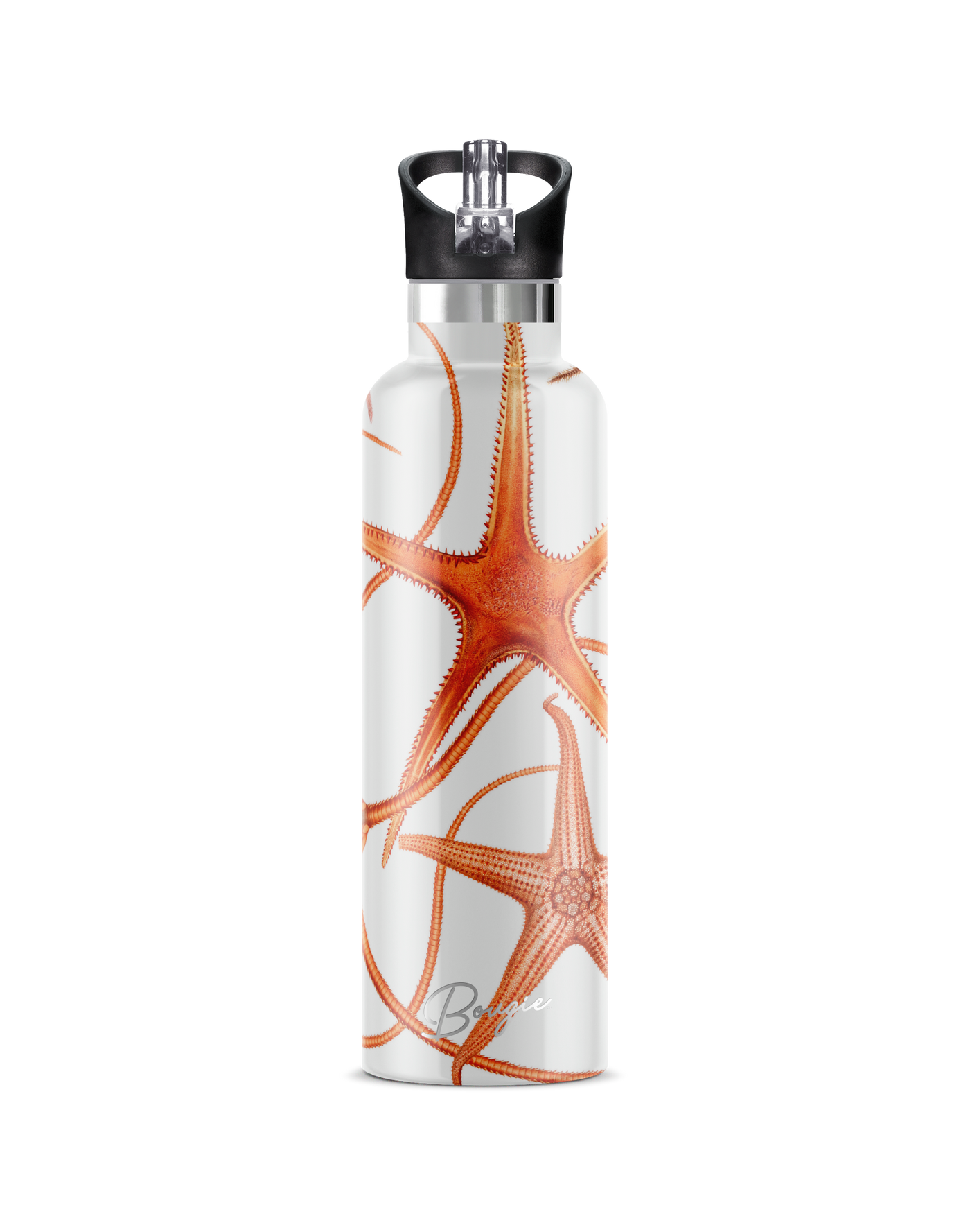 Starfish vintage design water bottle