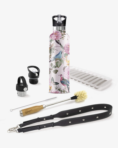 collection gift box with  pink and blue birds, butterflies and rose design water bottle, 2 lids, bottle brush cleaner, black strap bottler carrier and ice stick tray