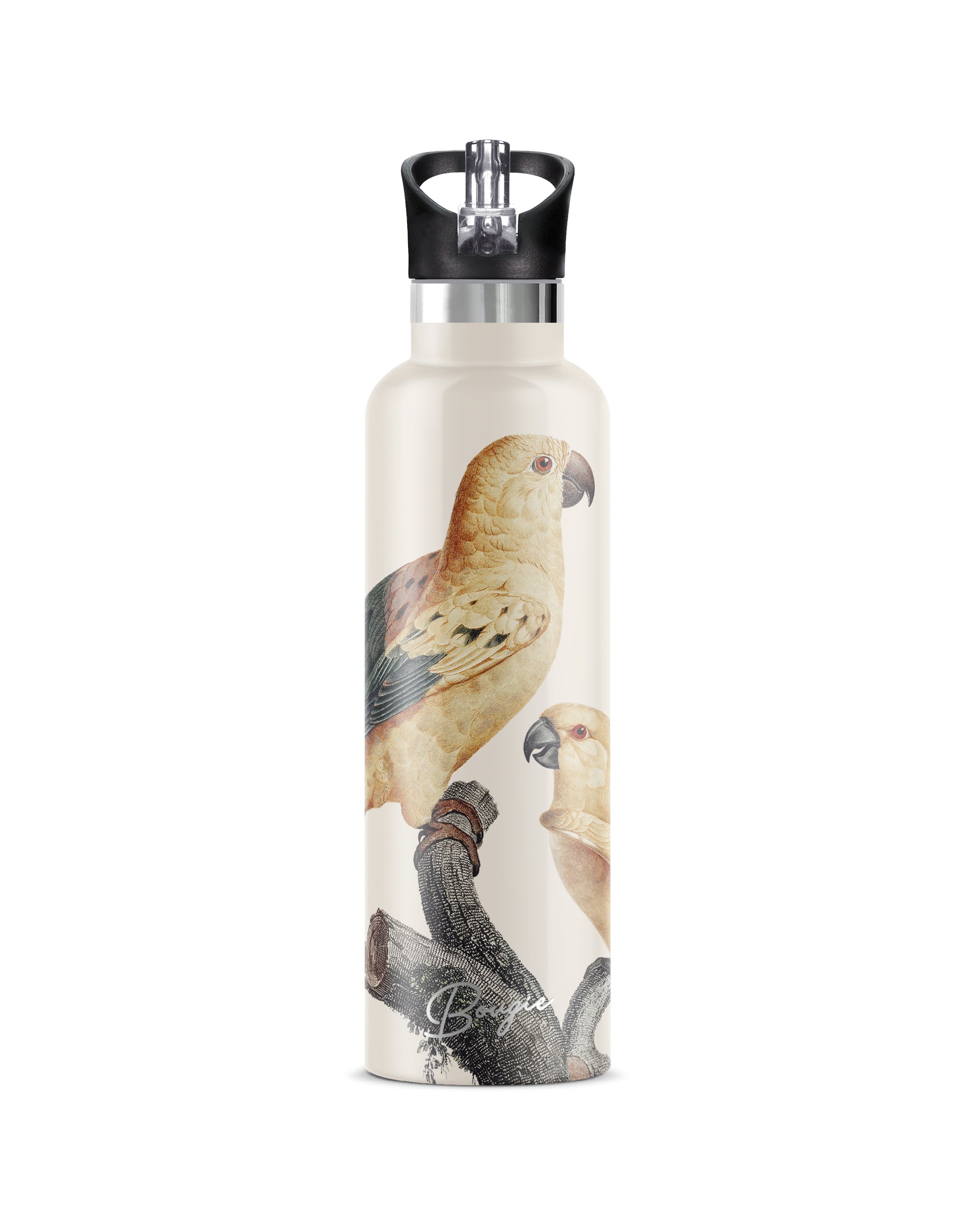 Perico